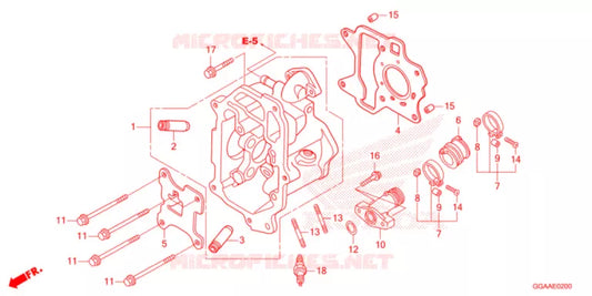 Cylindre Head OEM HONDA RUCKUS 50